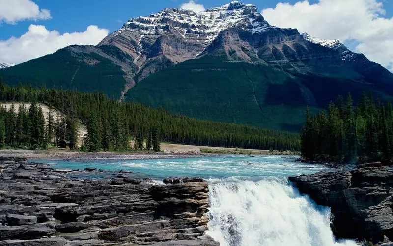 高性能高标准
